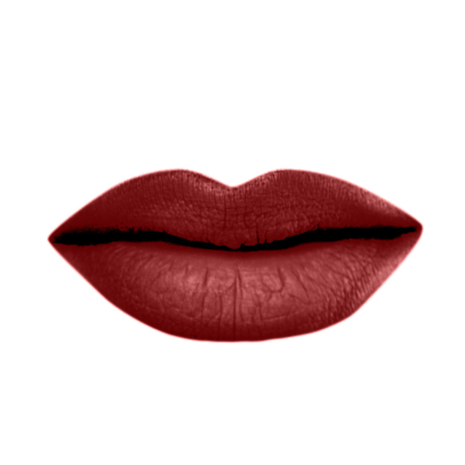 أحمر شفاه سائل مخملي غير لامع (VELVET MATTE LIQUID LIPSTICK)