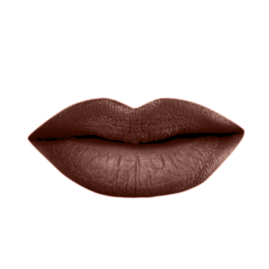 أحمر شفاه سائل مخملي غير لامع (VELVET MATTE LIQUID LIPSTICK)